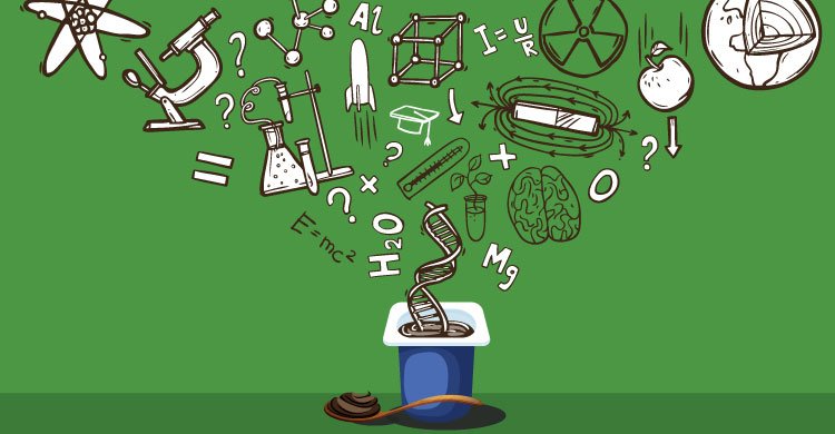 The proof is in the pudding